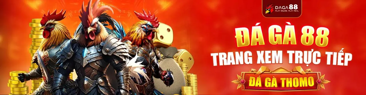 Đá gà trực tuyến Lixi88 2026 chính thức