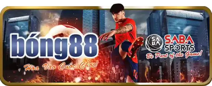 Quản lý tài khoản cá nhân VIP Lixi88
